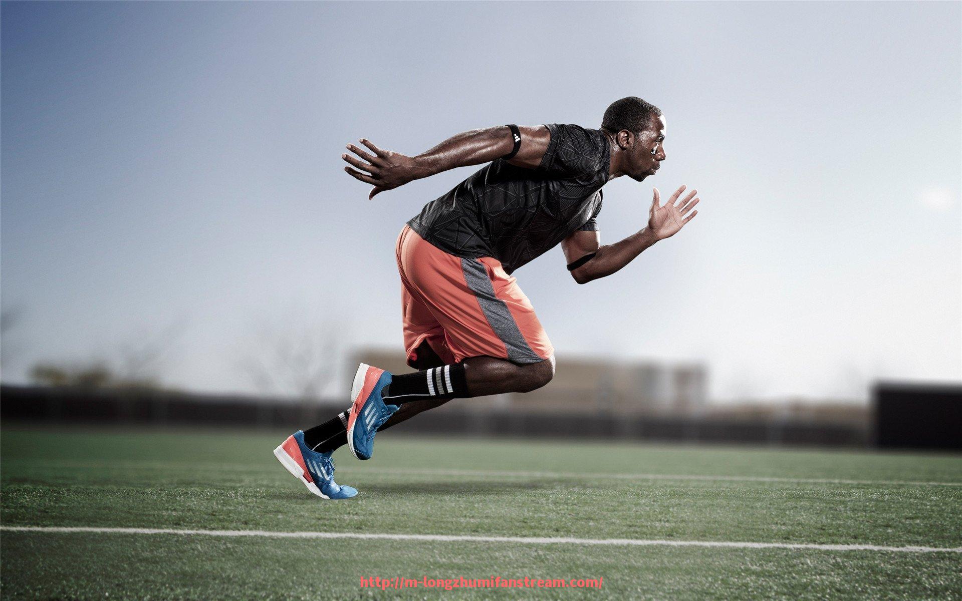 龙珠直播-世俱杯赛事核心组织架构运行模式及效率提升方案