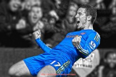 龙珠直播-北京地区高端健身器材销售渠道与品牌推荐